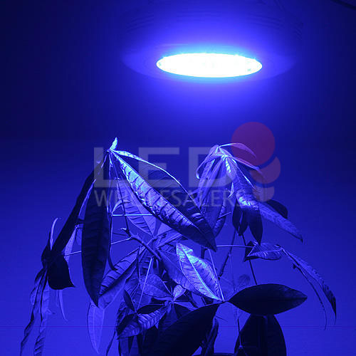UFO All Blue 90 Watt High Power LED Grow Light VEGGIE