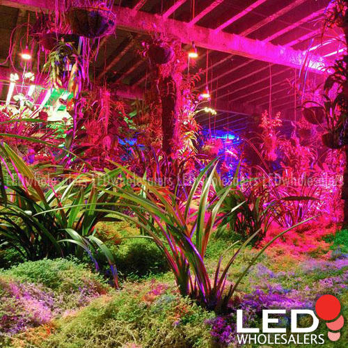 High Power hydroponic 90 Watt UFO LED Grow Light R + B