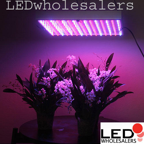 Hydroponic Lamp 225 LED Grow light Panel Red Blue 110 V