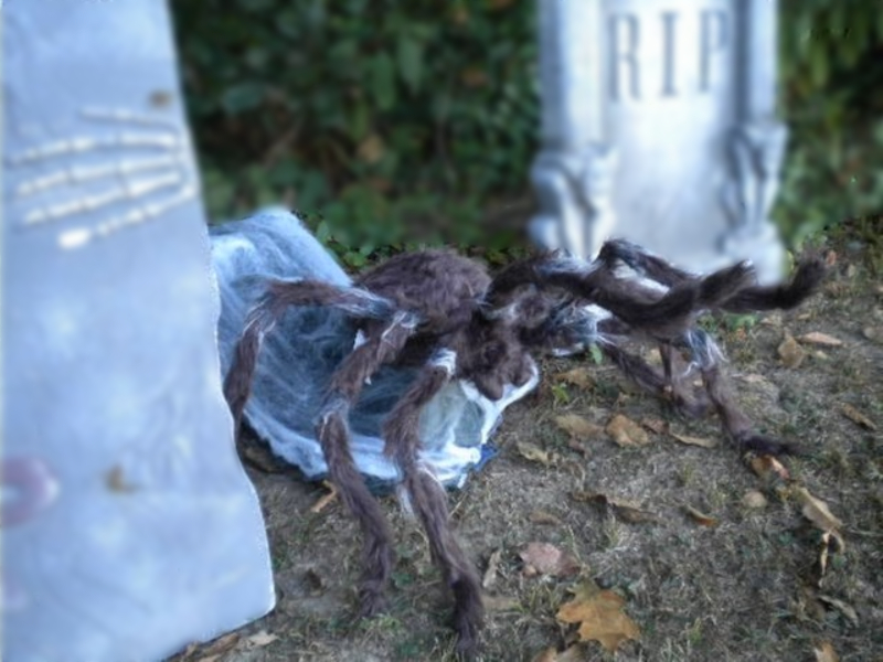 Animated+Halloween+Jumping+Spider ANIMATED GIANT ATTACKING JUMPING BROWN SPIDER HALLOWEEN PROP LUNGES at ...