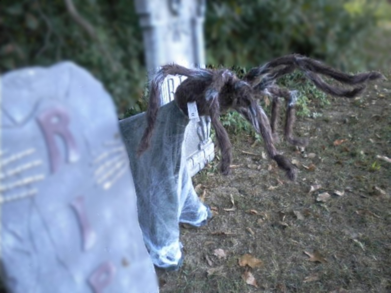 Animated+Halloween+Jumping+Spider Animated Giant Attacking Jumping Brown Spider Halloween Prop Lunges at ...