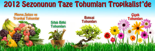 http://imgs.inkfrog.com/pix/2fun/banner1.jpg