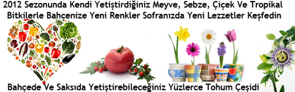 http://imgs.inkfrog.com/pix/2fun/ggbanner.jpg