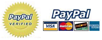 Logo Paypal I9+++ (i9 3GS) GSM Phone Dual SIM JAVA GPRS I68 3G USA