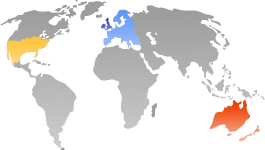 Shipping Map