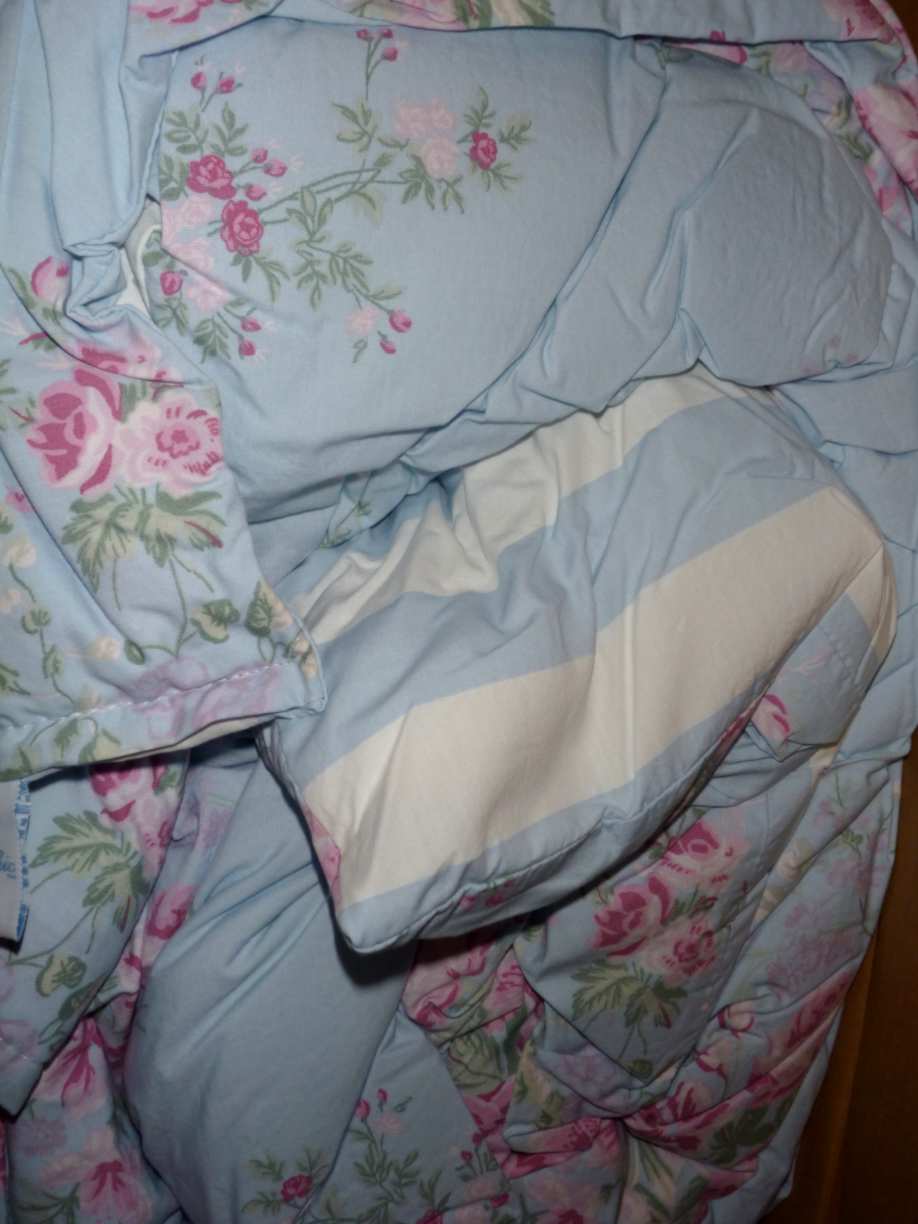 Rachel Ashwell Simply SHABBY CHICKING Comforter Cottage RoseBlue