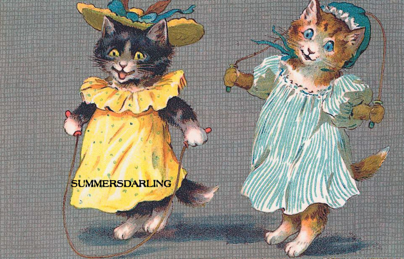 CATS_SKIPPING_ROPE_sd.jpg