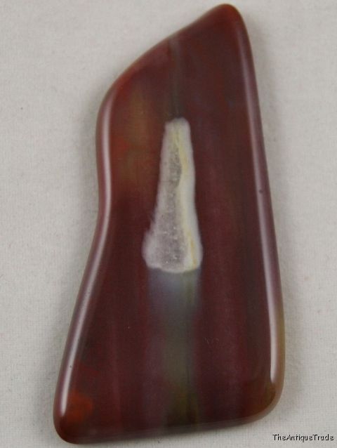 Petrified wood Arizona 27x53 freeform cabochon gem sa15