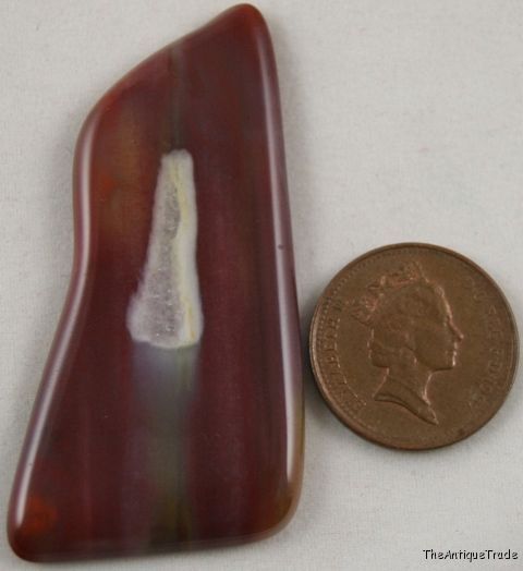 Petrified wood Arizona 27x53 freeform cabochon gem sa15