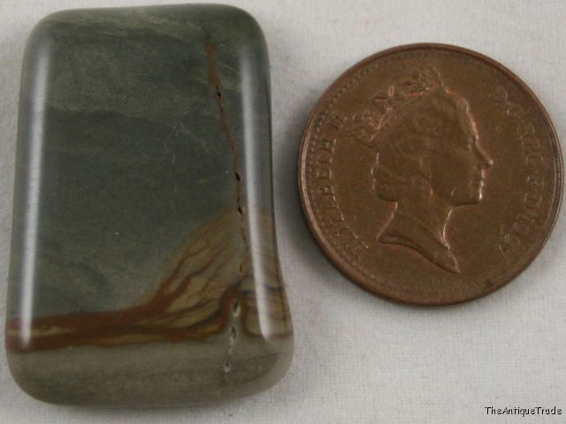 Idaho picture jasper 20x31 free form cabochon gem sa21