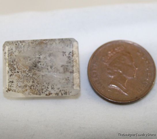 Natural Dendritic Quartz 16x22 octagon gem 25ct qu14
