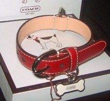 Coach Dog Collar Red Pebble Leather XS