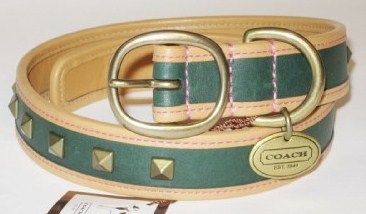 Coach Pyramid Stud Green Dog Collar XL