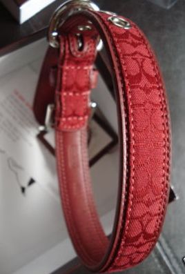 Signature Red Dog Collar
