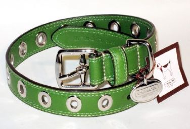 Coach Green Leather Fashion Dog Collar