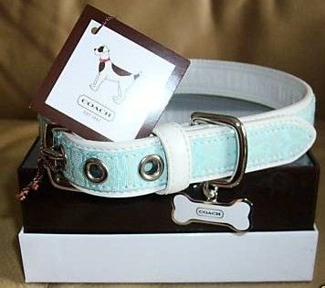 Coach Mini Signature Small Aqua Dog Collar