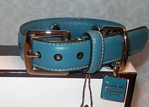 Coach Turquoise leather dog collar