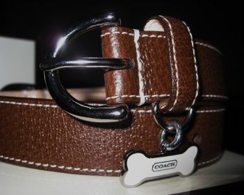 Designer Leather Dog Collar by Coach Brown