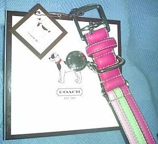 Large Pink & Green Leather Fashion Dog Collar