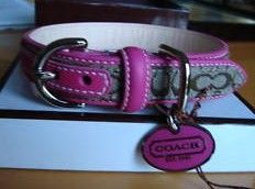 Small Coach Dog Collar