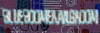 blueboomerangroom