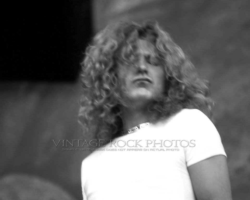 Robert Plant Led Zeppelin Photo 8x10 inch 1977 Day On The Green Oakland