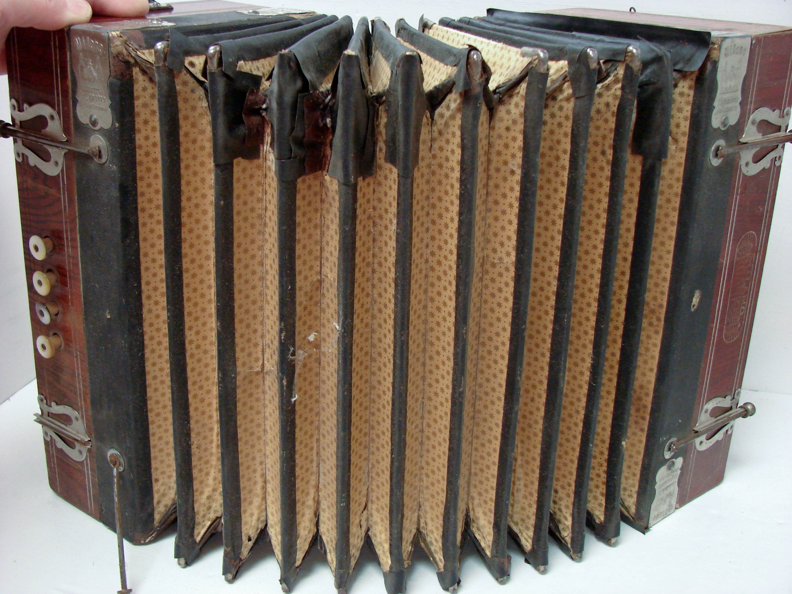 1800s German Milano Accordion Concertina Squeeze Box