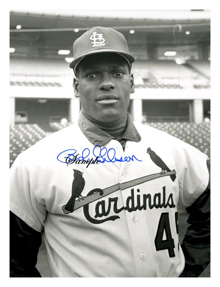 BOB GIBSON CARDINALS GREAT ~  SIGNED Large  Reprint 