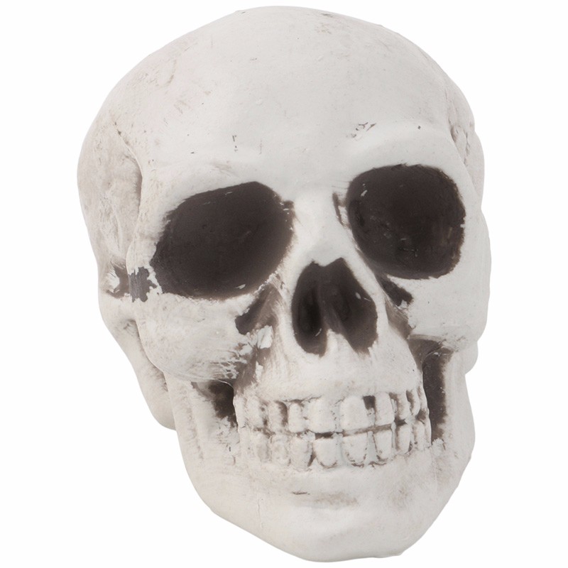 mini plastic human skull decor prop skeleton head halloween coffee bars ornament - Halloween Skeleton Head mini plastic human skull decor prop skeleton head halloween coffee bars ornament - Halloween Skeleton Head