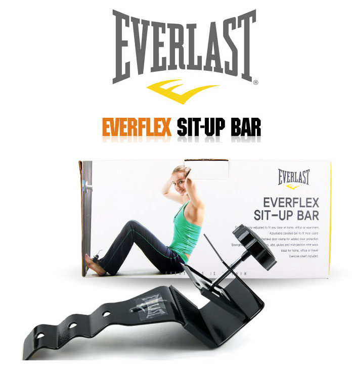 Everlast Heavy Bag Stand With Pull Up Bar Literacy Basics