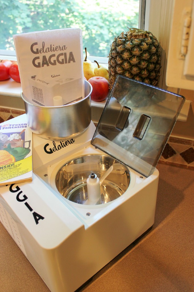 GAGGIA GELATIERA ICE CREAM MACHINE GELATO MAKER MADE IN ITALY by