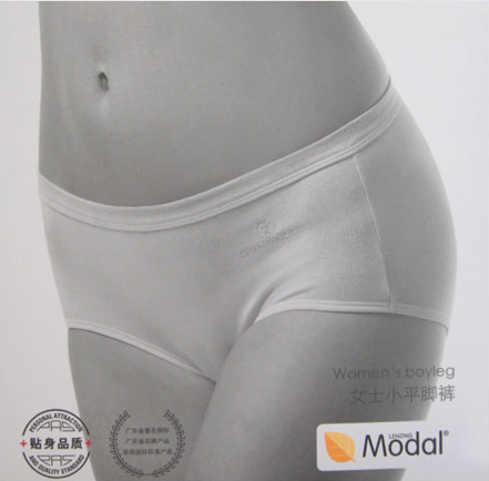 NWT 2pair  women\'s modal boy panties boyshorts 2xl(w26-29)