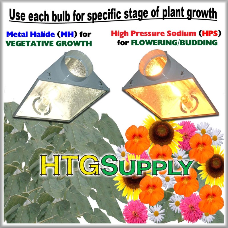 http://imgs.inkfrog.com/pix/htgsupply/BULB_COMPARE_EASYCOOL6.jpg