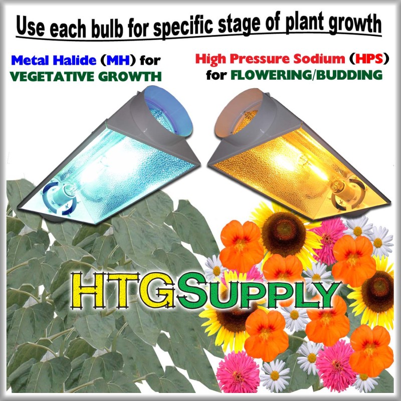 http://imgs.inkfrog.com/pix/htgsupply/BULB_COMPARE_EURO.jpg