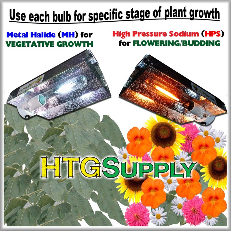 http://imgs.inkfrog.com/pix/htgsupply/BULB_COMPARE_MAXWING.jpg