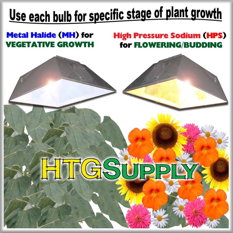 http://imgs.inkfrog.com/pix/htgsupply/BULB_COMPARE_SUPERNOVA.jpg