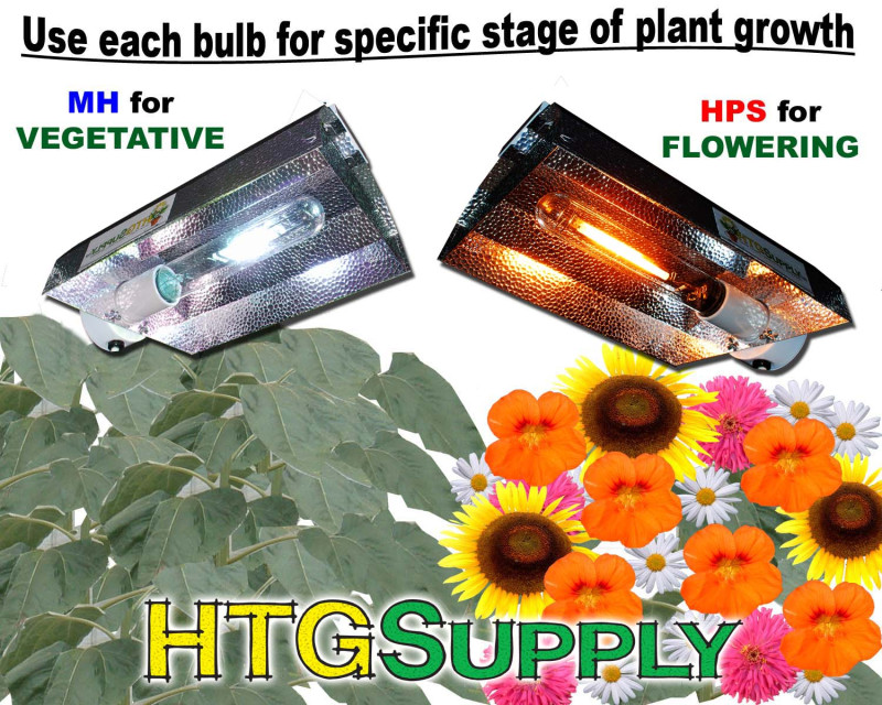 http://imgs.inkfrog.com/pix/htgsupply/Dimpled_Ultimate_Bulb_Compare.jpg