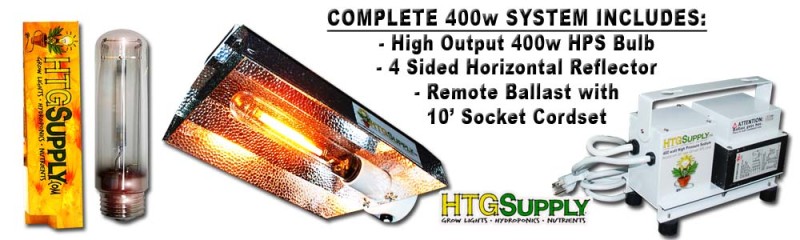 http://imgs.inkfrog.com/pix/htgsupply/HTGSupply_400w_HPS_IN_AUCTION.jpg