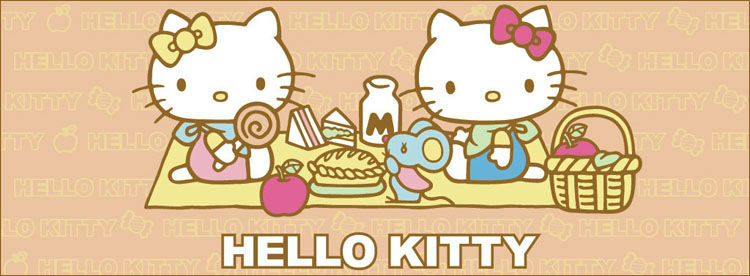 Adorable Hello Kitty Soft Sleeve Plush Pouch C