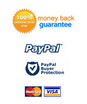 http://imgs.inkfrog.com/pix/ivea/paypalpayment.jpg