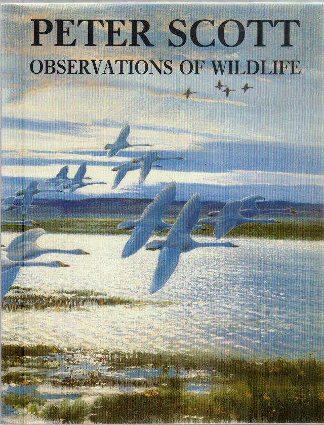 Thumbnail of Peter Scott: Observations of Wildlife