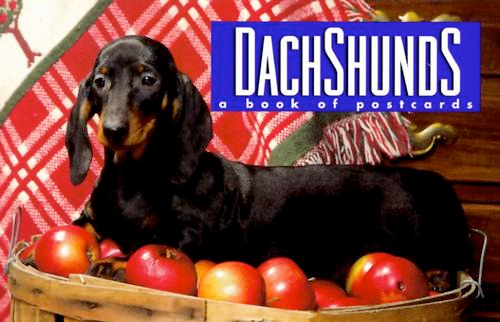 Thumbnail of Dachshunds: A Book of Postcards
