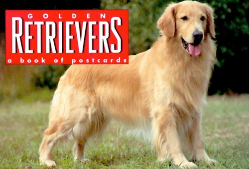 Thumbnail of Golden Retrievers: A Book of Postcards