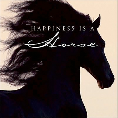 Thumbnail of Happiness Is A Horse