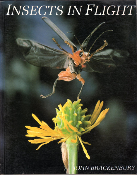 Thumbnail of Insects in Flight