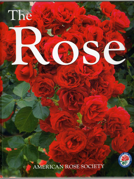 Thumbnail of The Rose