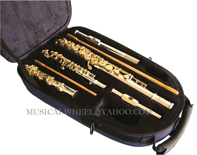 FLUTE & PICCOLO Combo Case Blue/Orange Other colors eBay