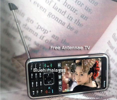 D5000  3 BESTEL D5000+ TV FM Triple SIM PDA Phone
