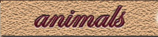 Animal Stamps