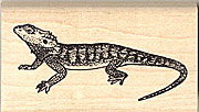 Iguana stamps and other bird and reptile stamps